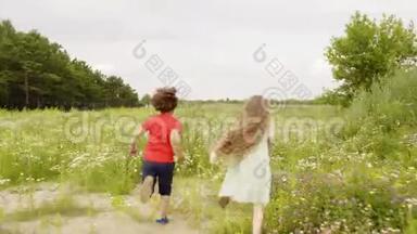 男孩和女孩在夏村的绿色田野上奔跑。 弟弟妹妹在开花的草地上奔跑。 快乐
